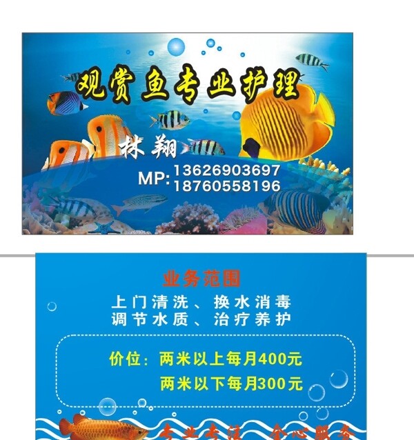 觀賞魚名片圖片