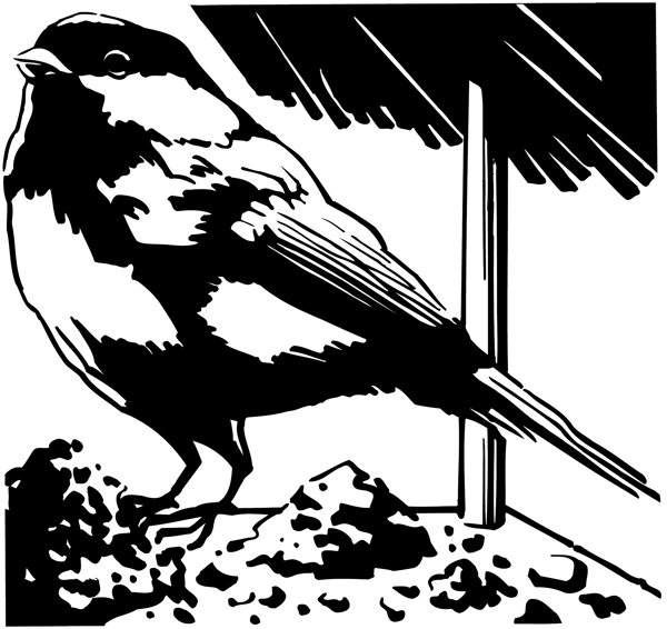 鳥類動物矢量素材eps格式0002