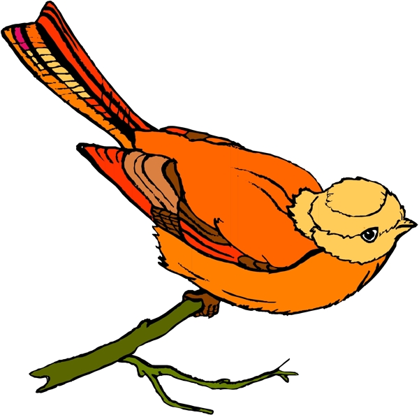 矢量逼真鳥類動物176