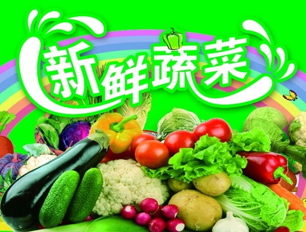 陽光小熊菜單