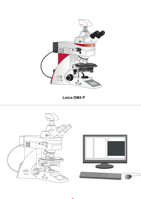 偏光显微镜Leica