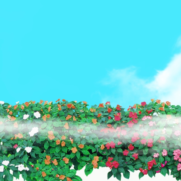 春天文藝花藤背景