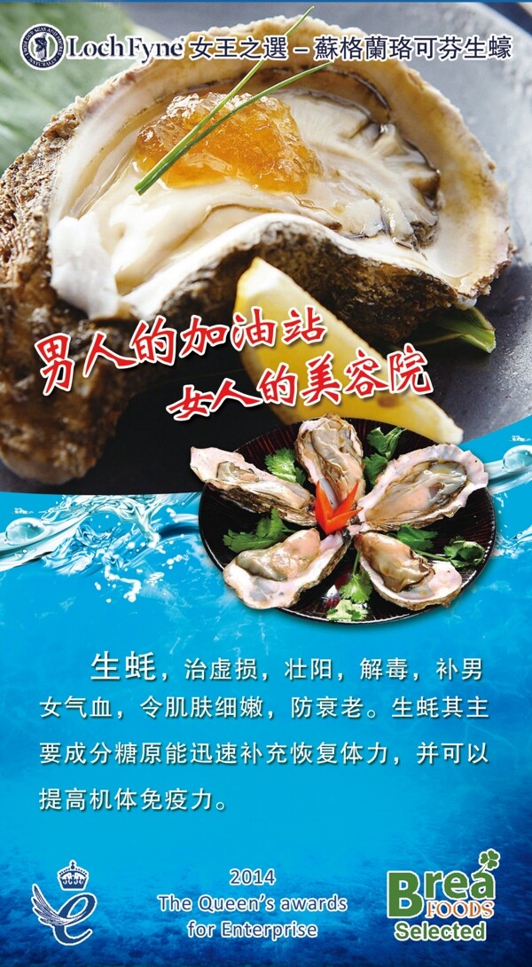 生蠔海鮮圖片