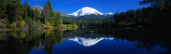 樹植物水風(fēng)景