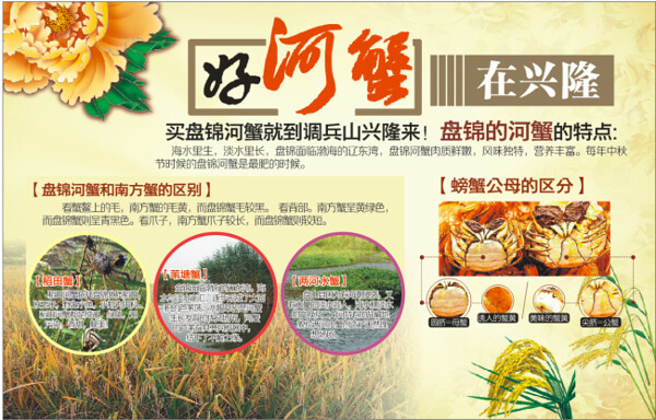 好河蟹在興隆