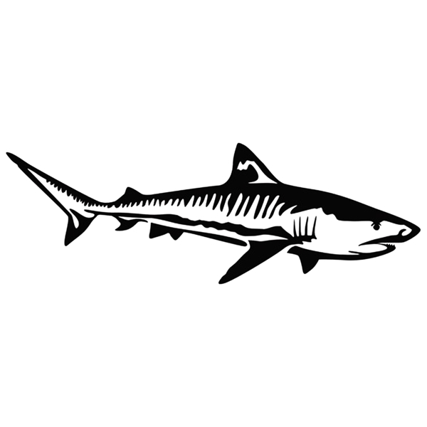 鲨鱼印花矢量图形动物T恤卫衣印花