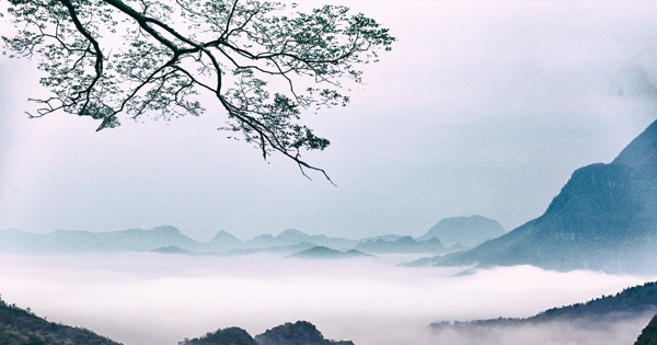 树梢云海中国风