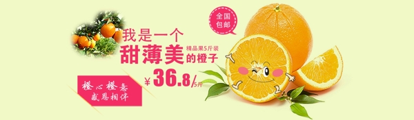 臍橙海報(bào)