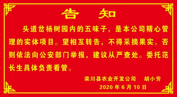 告知警示花邊紅底告示