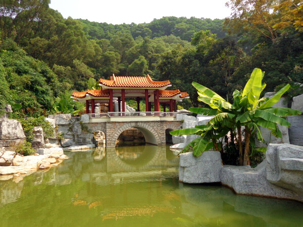 仙湖盆景園非高清圖片