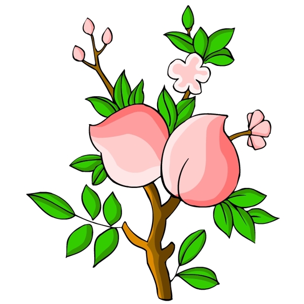 花卉古典插畫(huà)