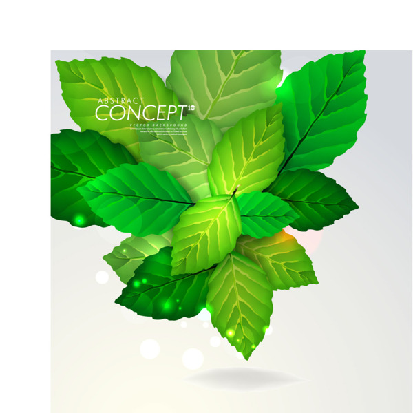 綠葉設(shè)計(jì)元素背景矢量圖素材