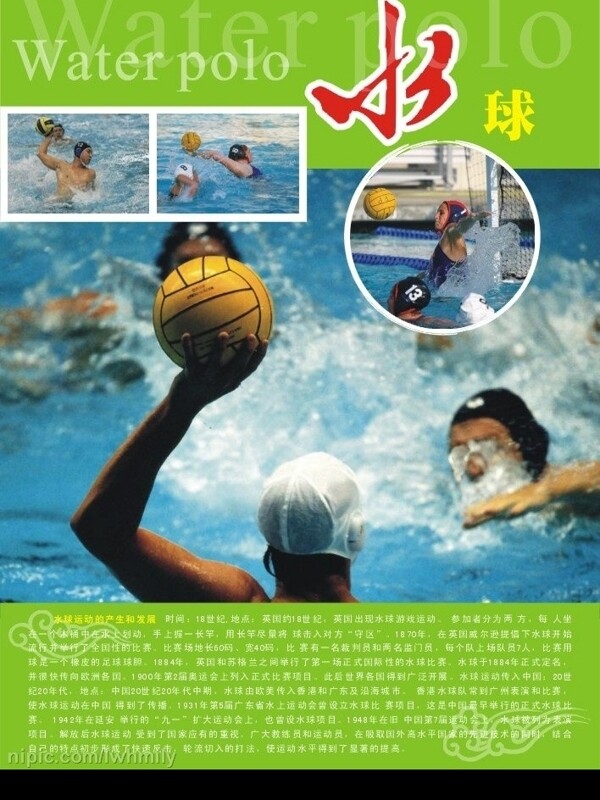 体育知识水球图片