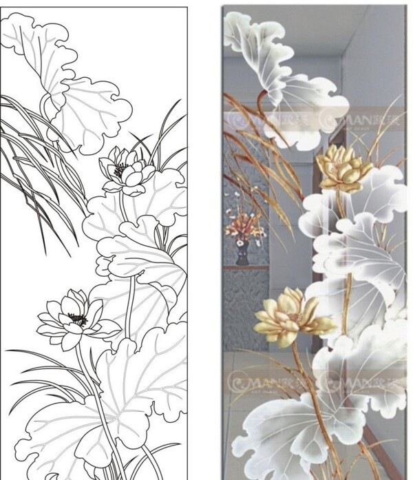 荷花圖片