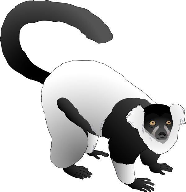 動物素材