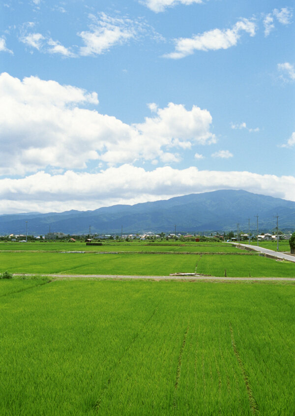 農(nóng)田