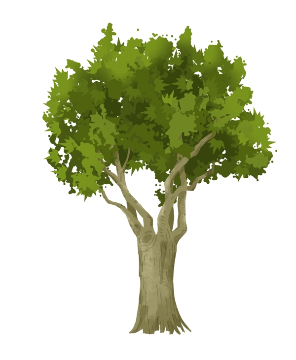植物大树树叶插画