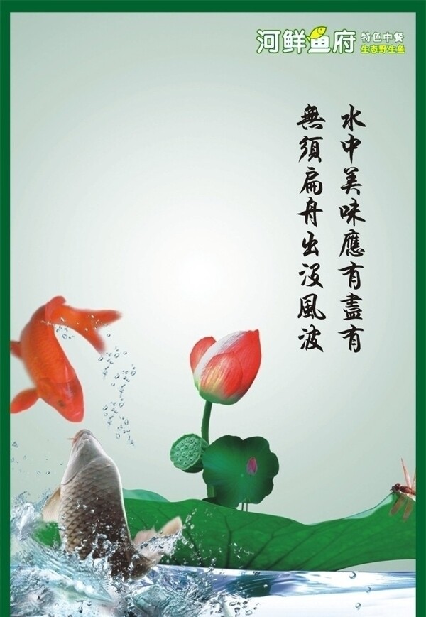 生態(tài)魚圖片