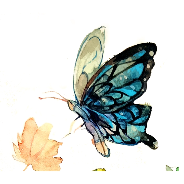 蝴蝶翅膀透明蓝色唯美PNG