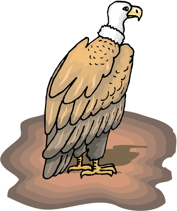 各種鳥類鳥動物矢量素材EPS格式0546