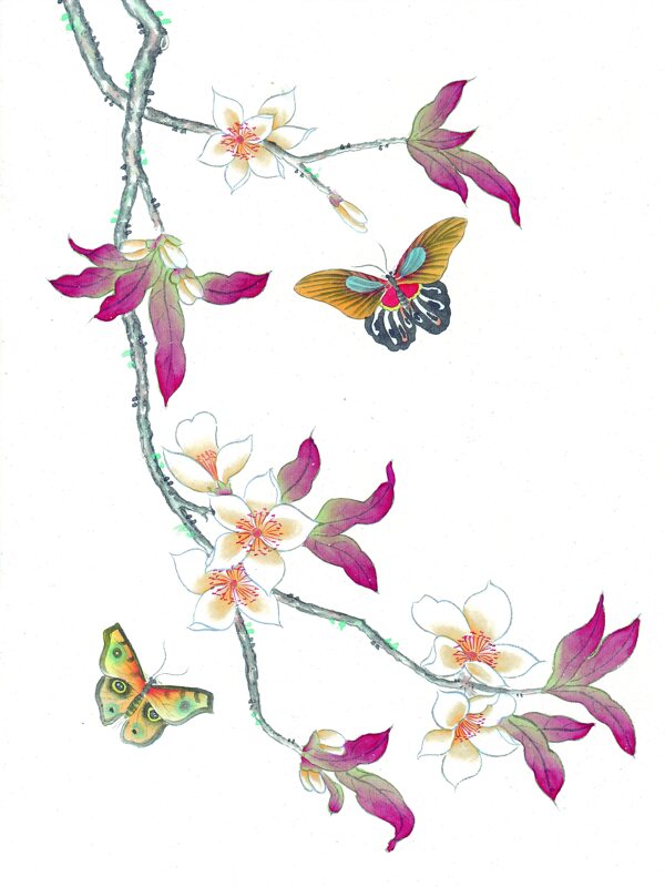 蝴蝶与花卉图片