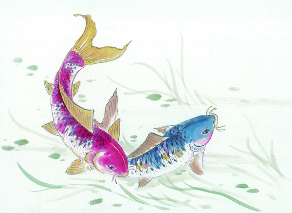 古圖繪畫(huà)動(dòng)物魚(yú)類(lèi)生物