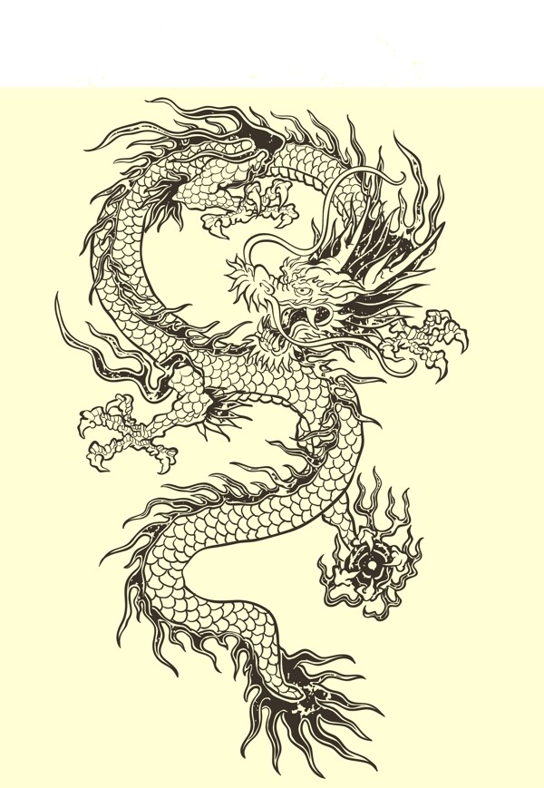 黑白龍圖紋理矢量圖