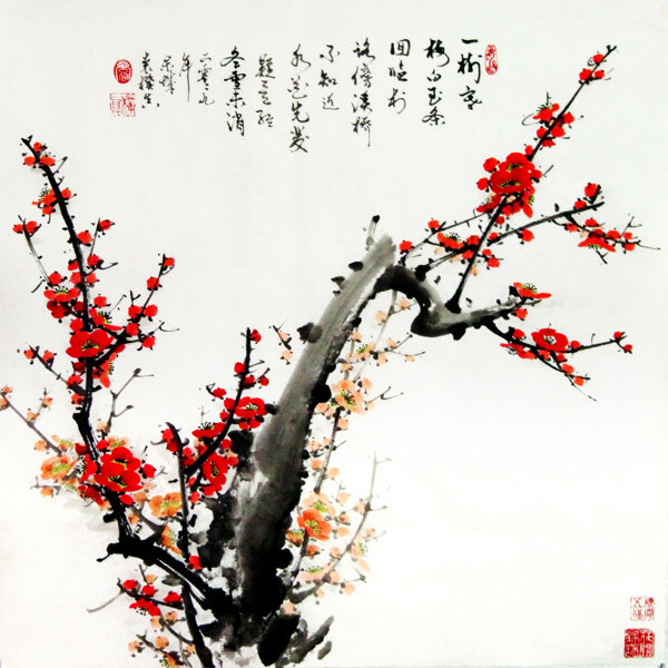 一枝紅梅雪中出圖片