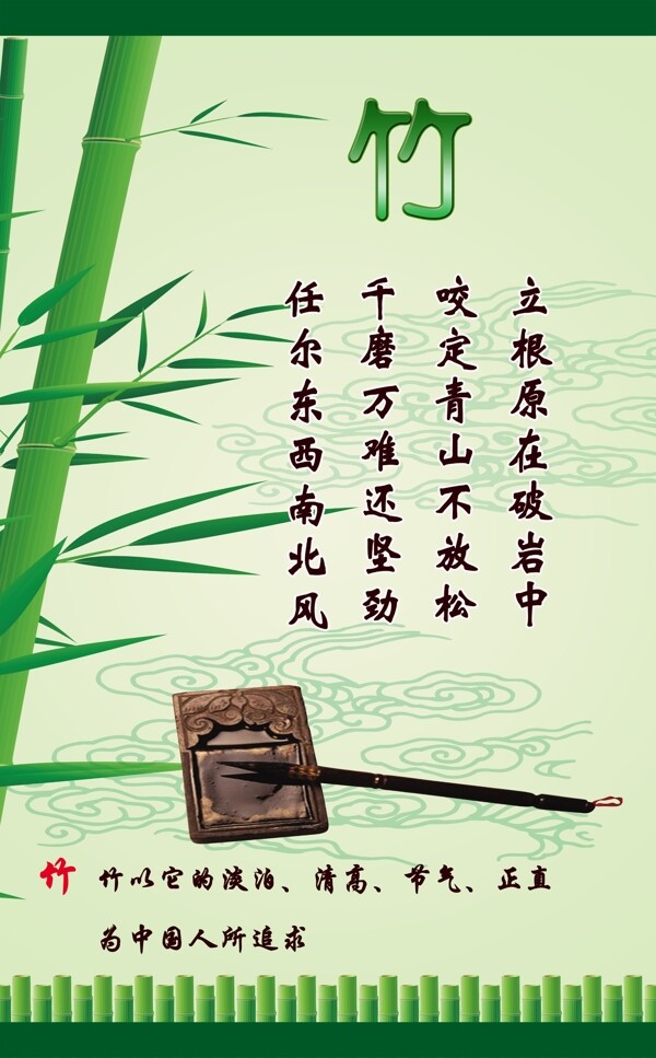 竹子圖片