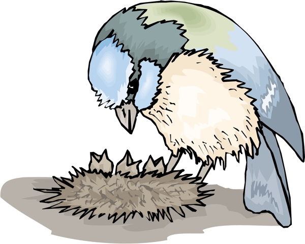各種鳥類鳥動(dòng)物矢量素材EPS格式0334