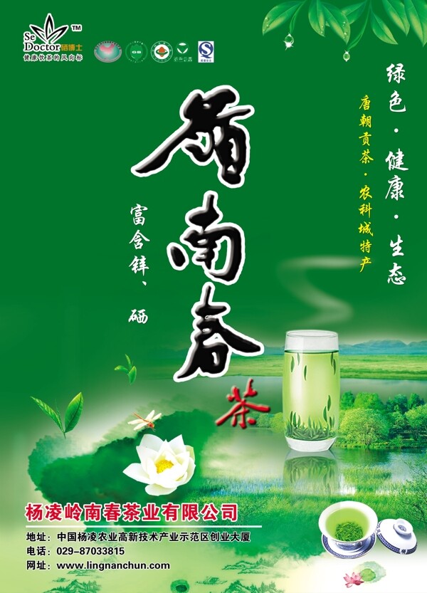 黃南春茶