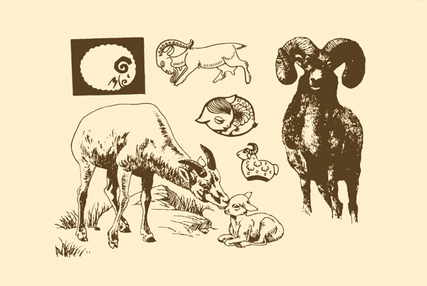 動物圖案羊圖片
