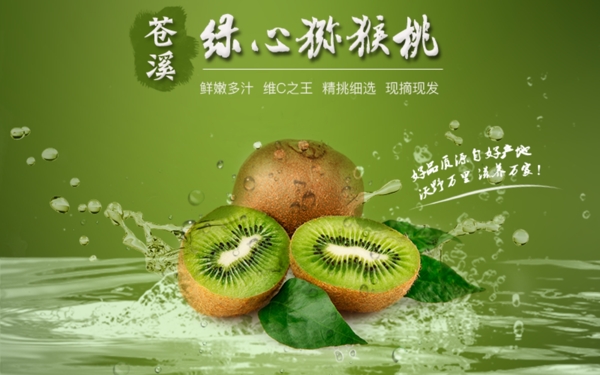 蒼溪獼猴桃