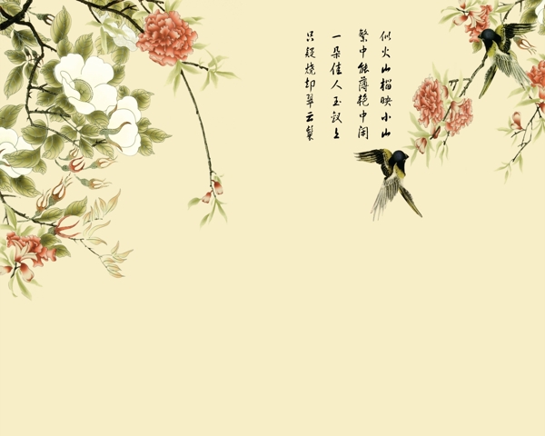 山石榴圖片