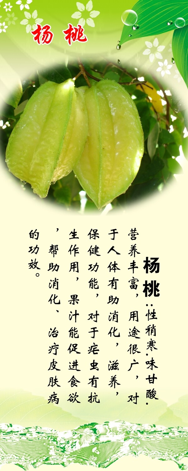 楊桃圖片