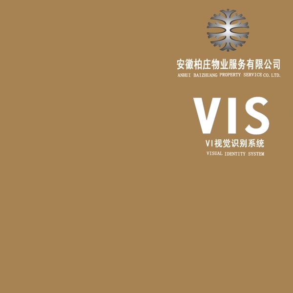 vis封面圖片