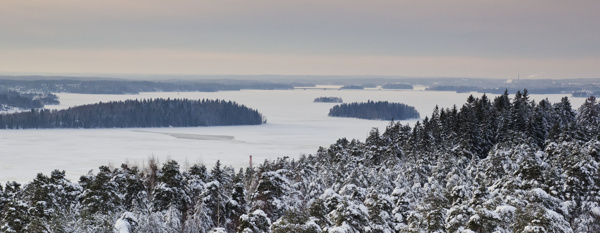 白雪覆盖的湖泊和树林图片