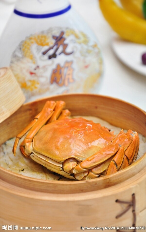 大閘蟹圖片