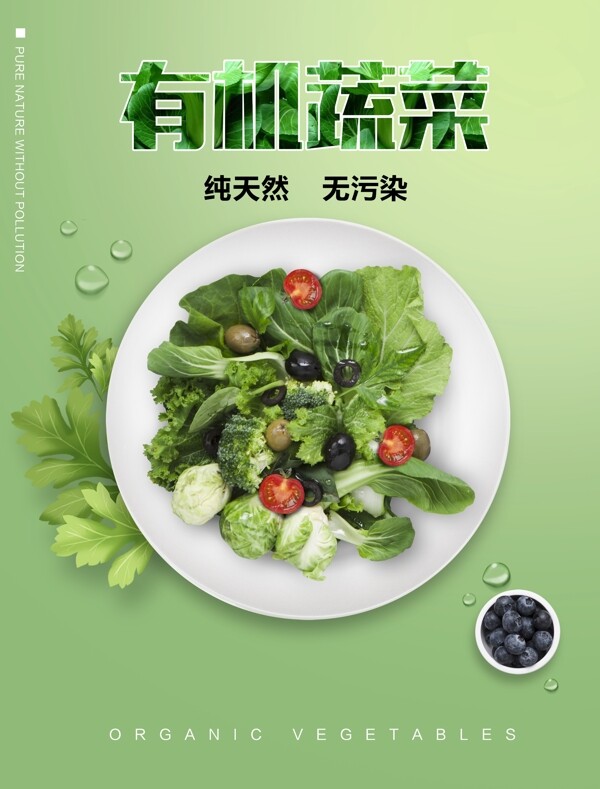有机蔬菜分层海报