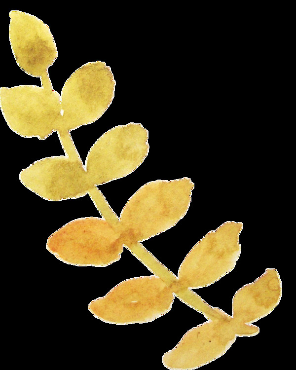 桃黃花枝卡通透明裝飾素材