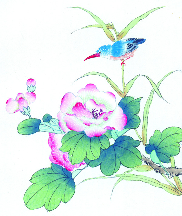 牡丹花鳥
