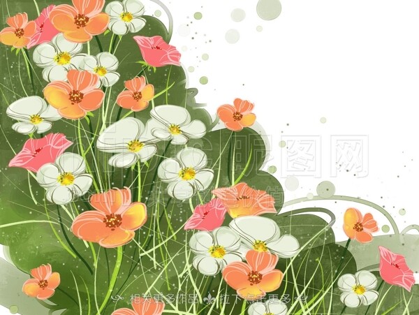 手繪花朵圖片