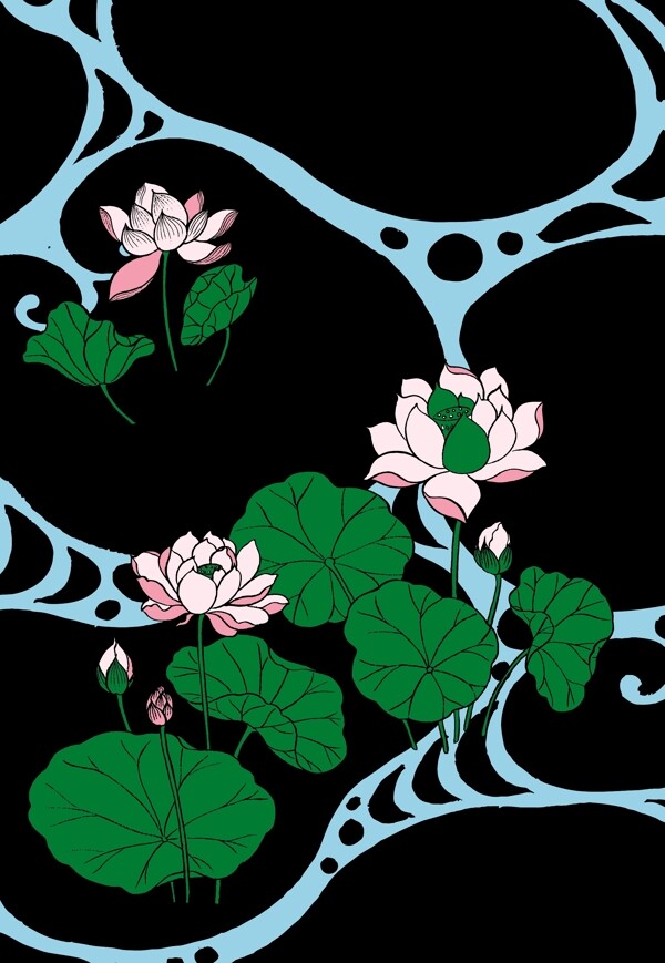 荷花圖片