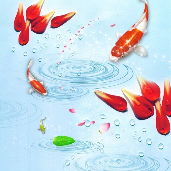 水中魚圖片