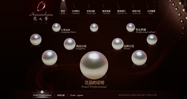 珠寶網(wǎng)站圖片