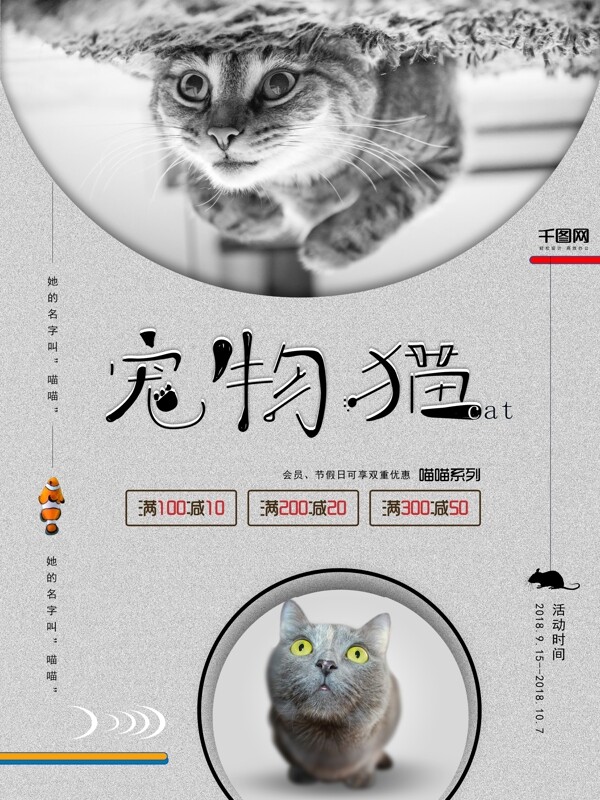 宠物猫原创促销海报