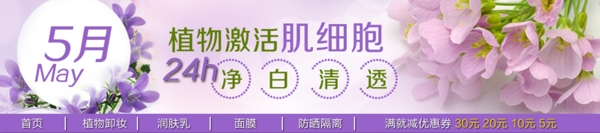 肌細(xì)胞植物激活圖片