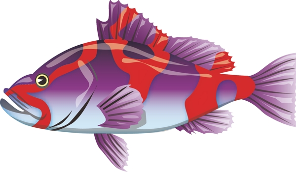 魚(yú)兒
