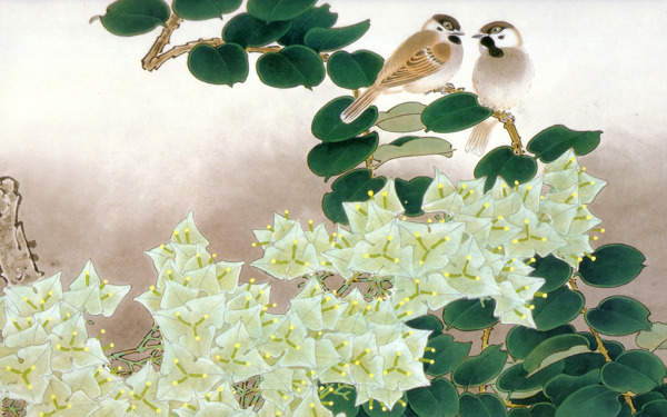 花鳥(niǎo)手繪圖