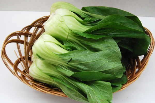 小青菜圖片